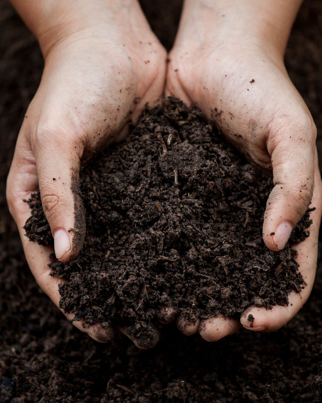 Soils, Amendments, and Fertilizers from Frost Farms Garden Center
