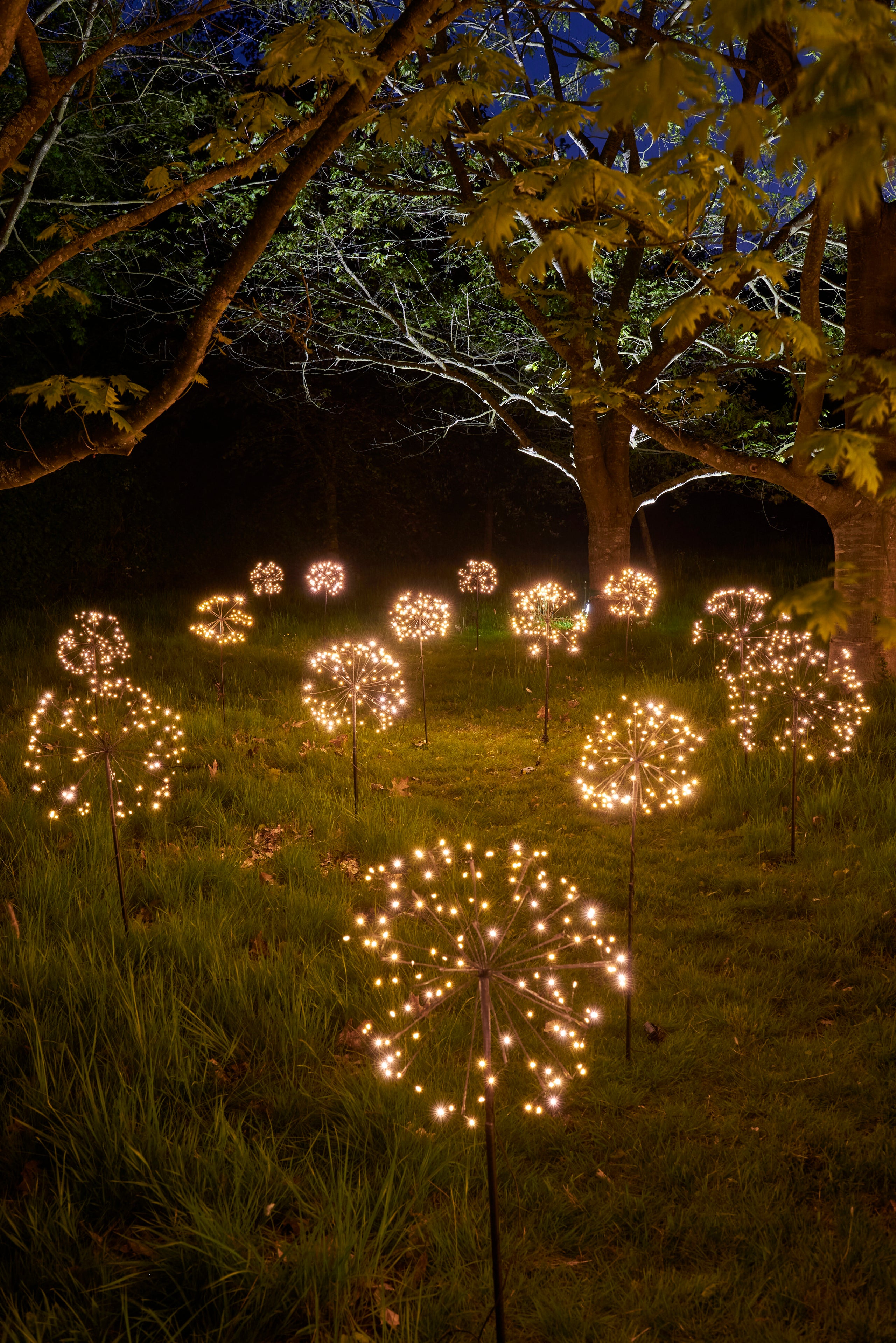 Dandelion solar led outdoor stake light discount