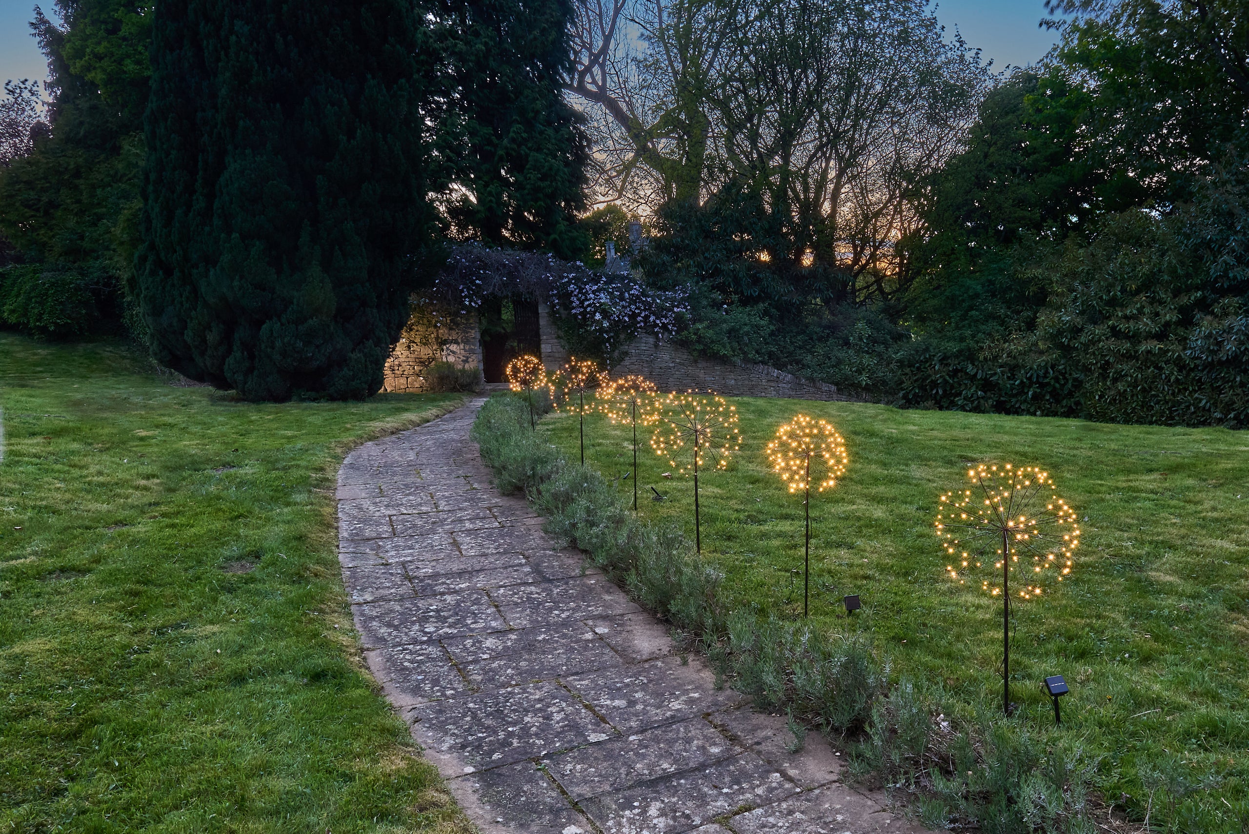 Led solar dandelion lights on sale