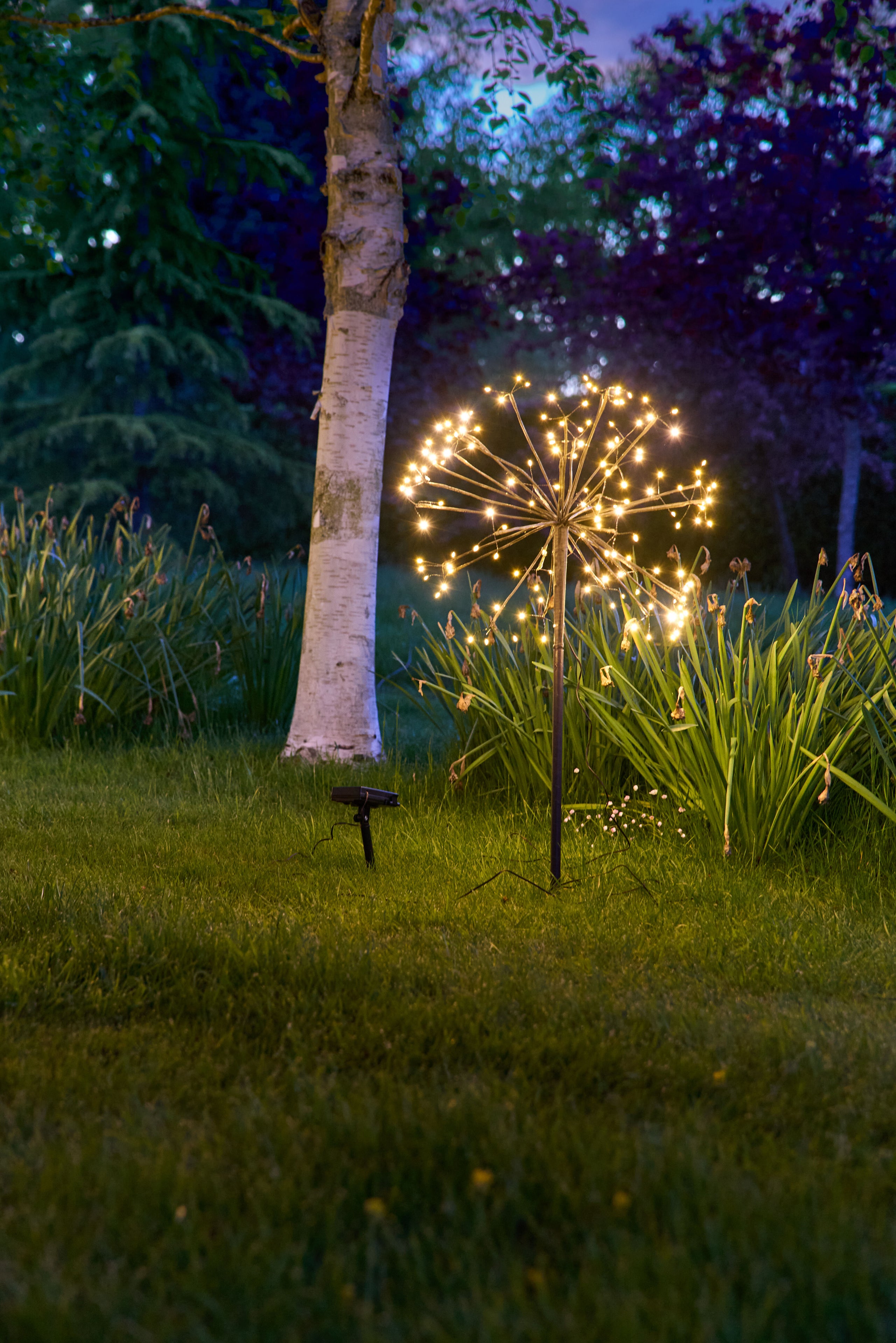 Plant solar lights discount